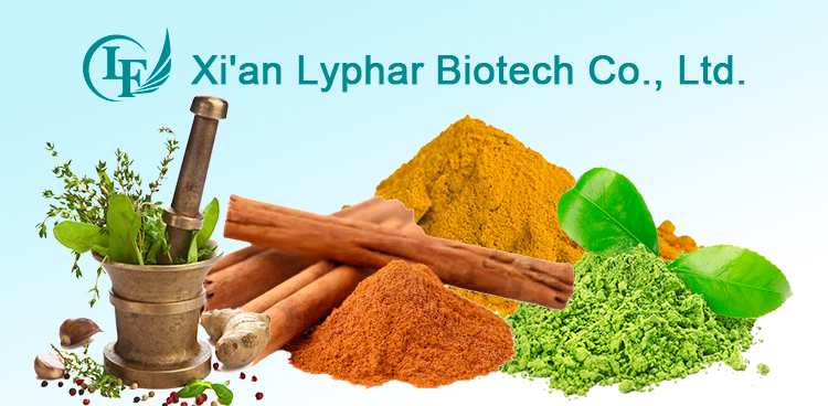 Lyphar Supply 1% Ligustilide Angelica sinensis Extract
