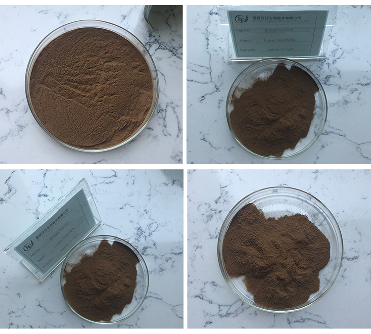 best shilajit extract powder-lyphar